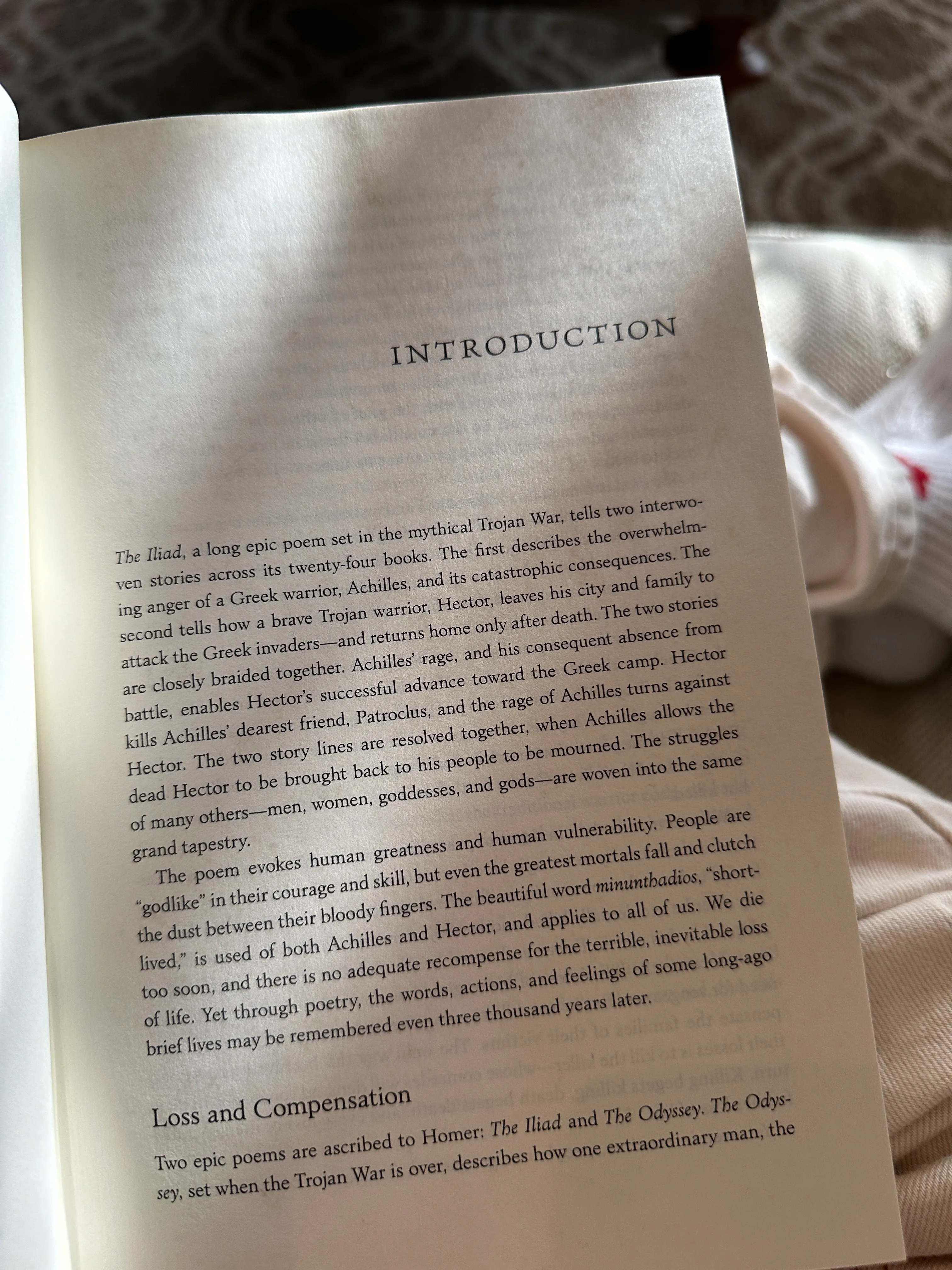 emily wilson's introduction to the iliad
