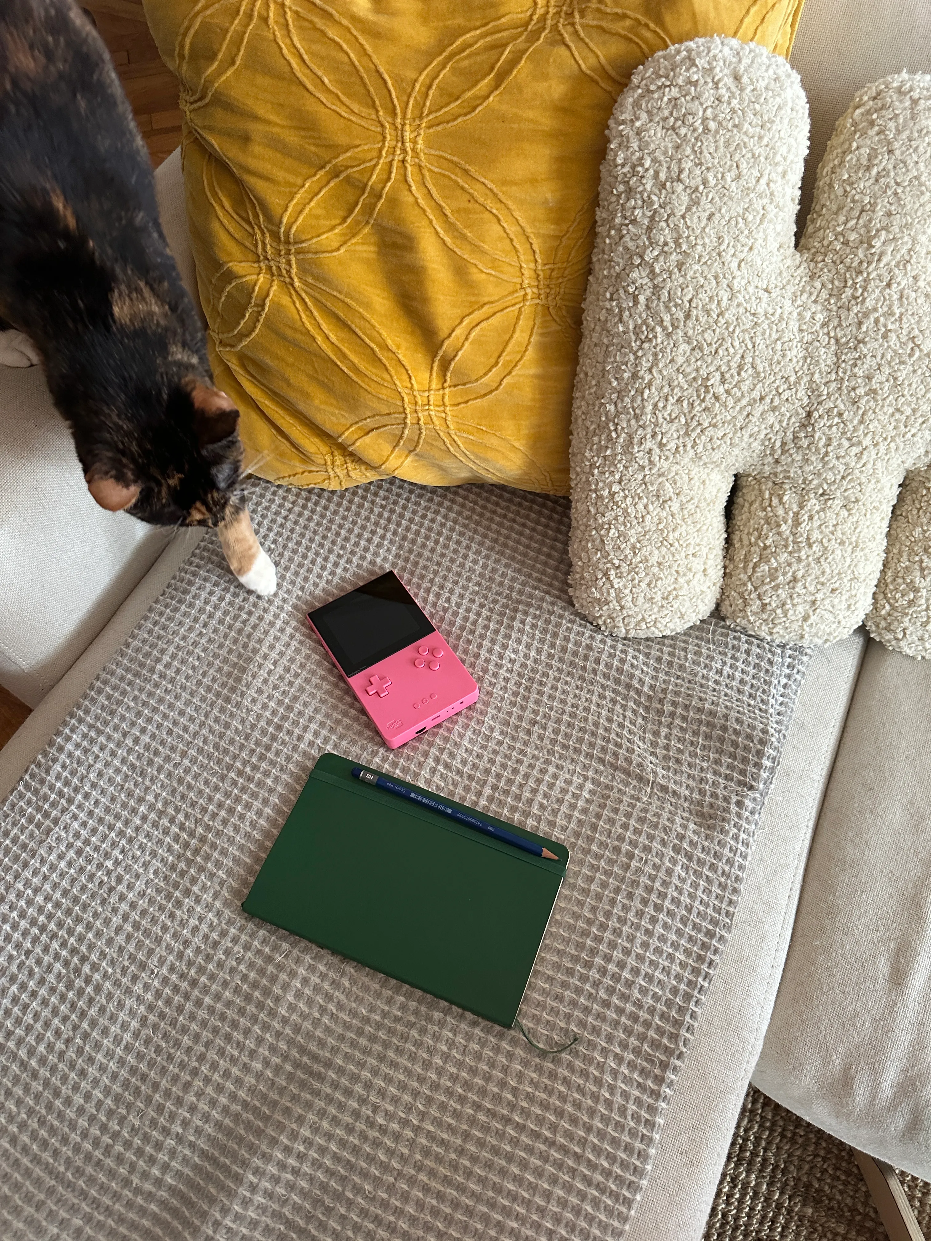 my new pink analogue pocket